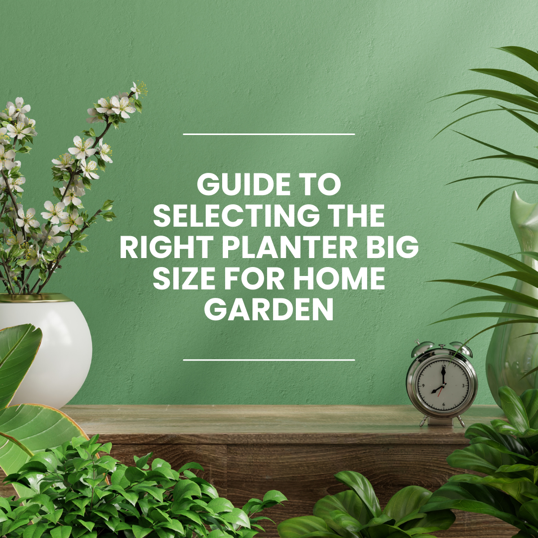 Guide To Selecting The Right Planter Big Size For Home Garden