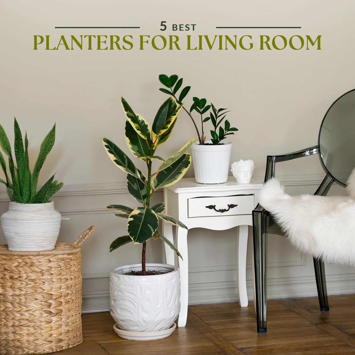 Sustainable Beauty: 5 Best planters for living room