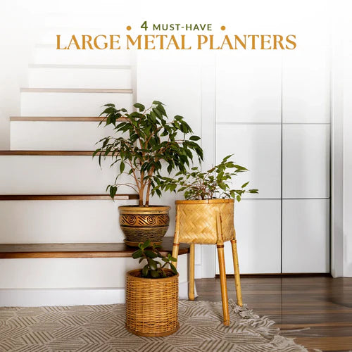 4 Best Planters For Bungalow