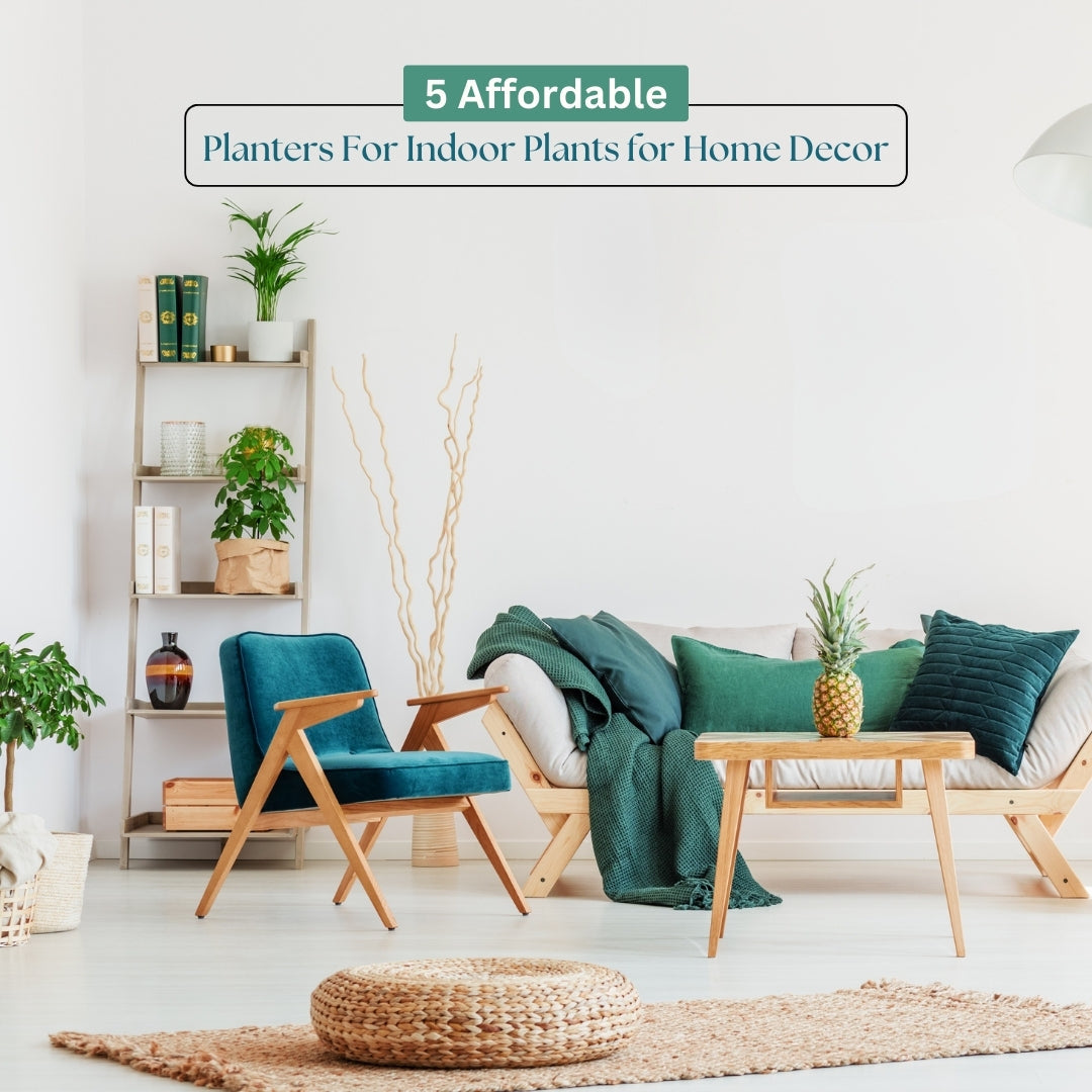 Buy Affordable Planters For Indoor Plants for Home Decor