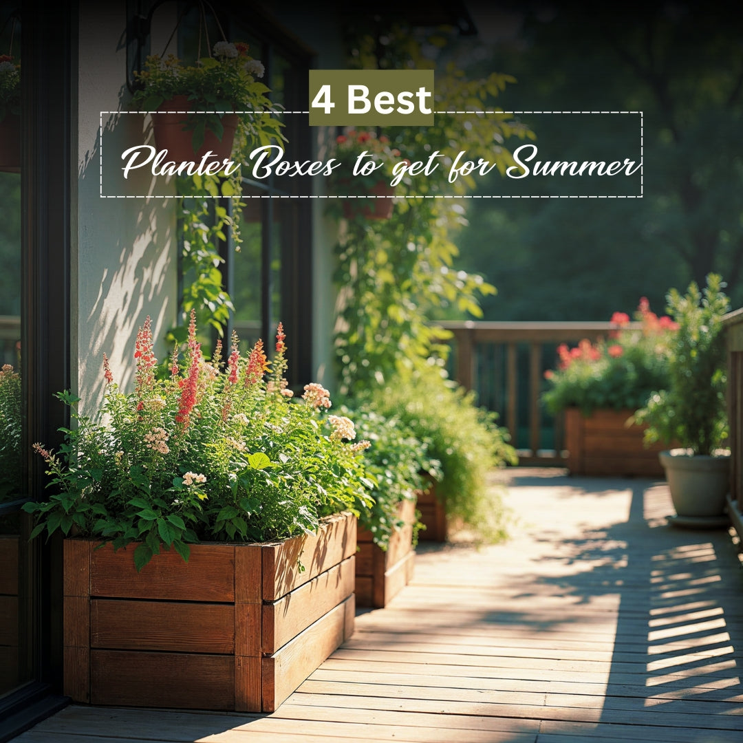 4 Best Planter Boxes to get for Summer