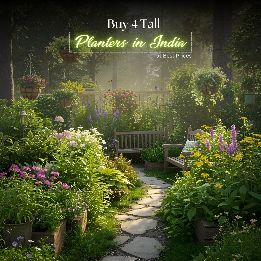 Buy 4 Tall Planters in India at Best Prices