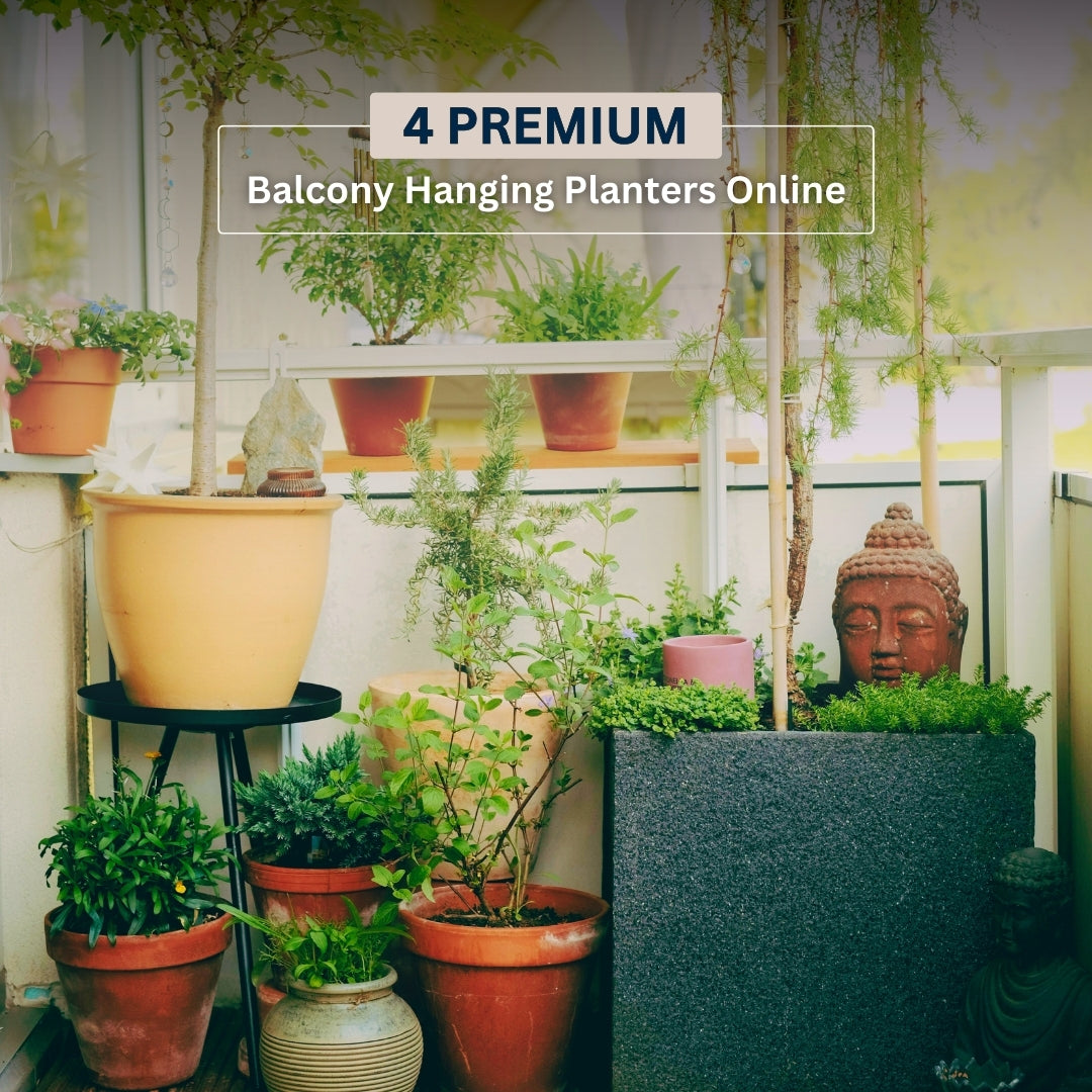 Buy Premium Balcony Hanging Planters Online