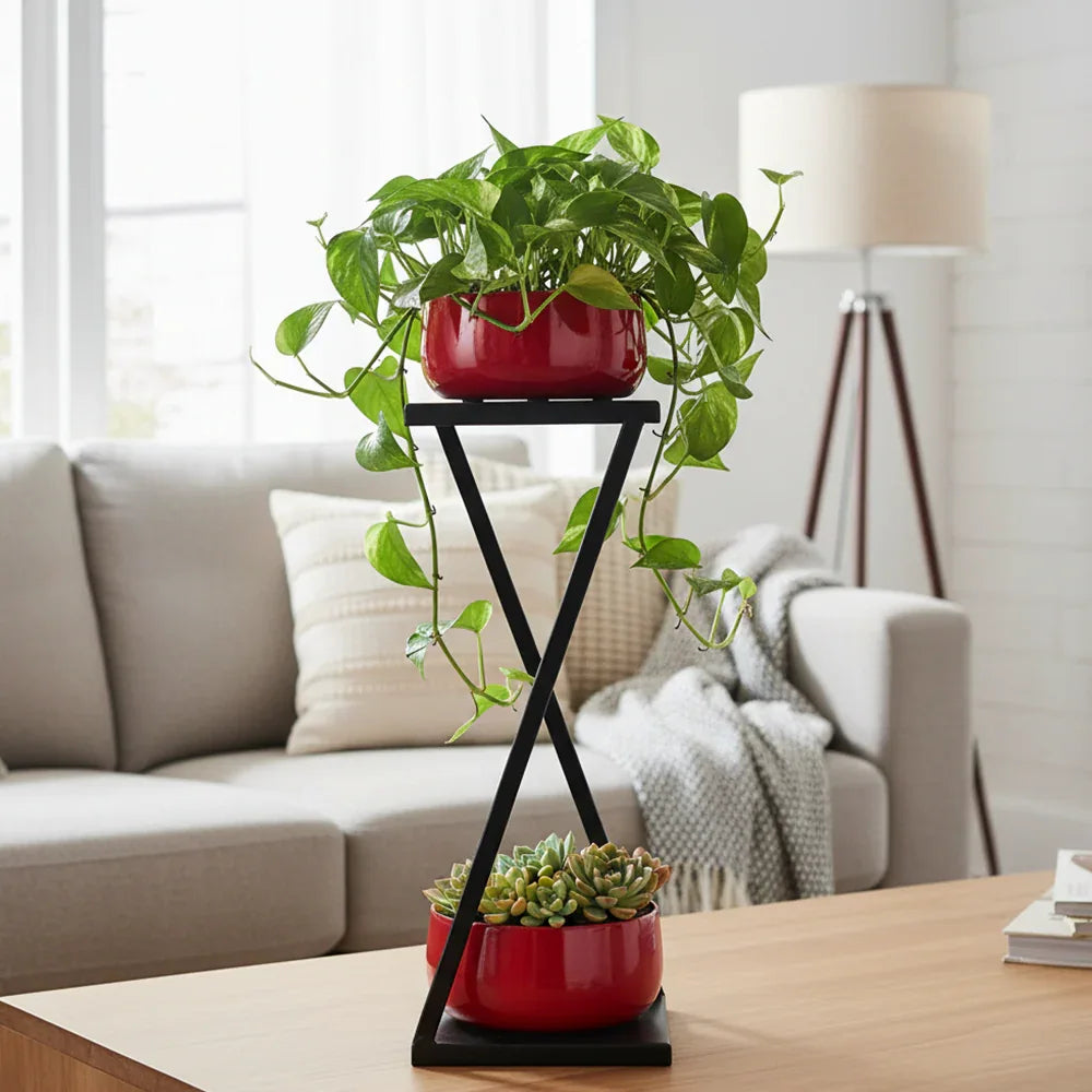 Modern X Frame Metal Planter Stand with Pots