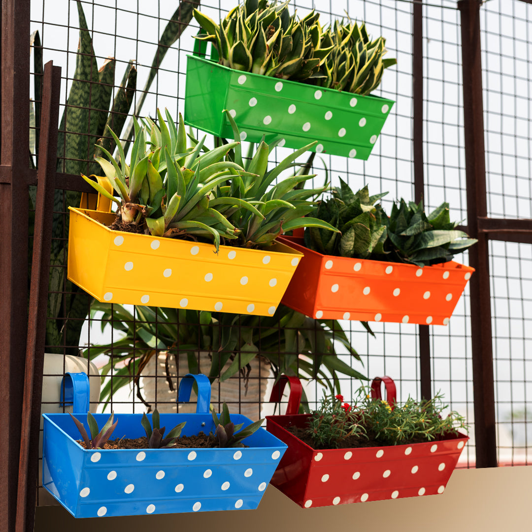 Hanging Planter Box-Set of 5