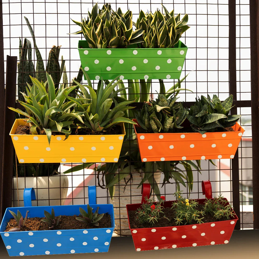 Hanging Planter Box-Set of 5