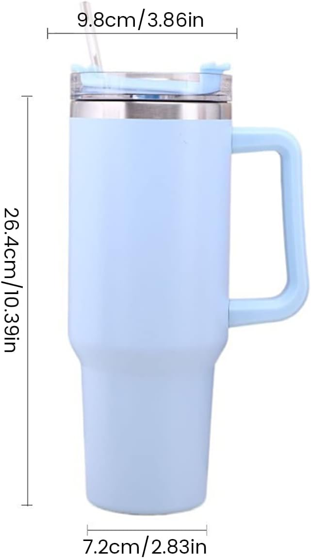 Stainless Steel Insulated Reusable Water Bottle with Lid in Sky Blue