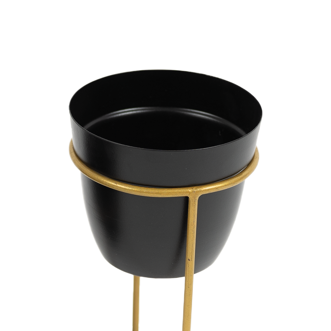 Metal Pots with Double Golden Stand