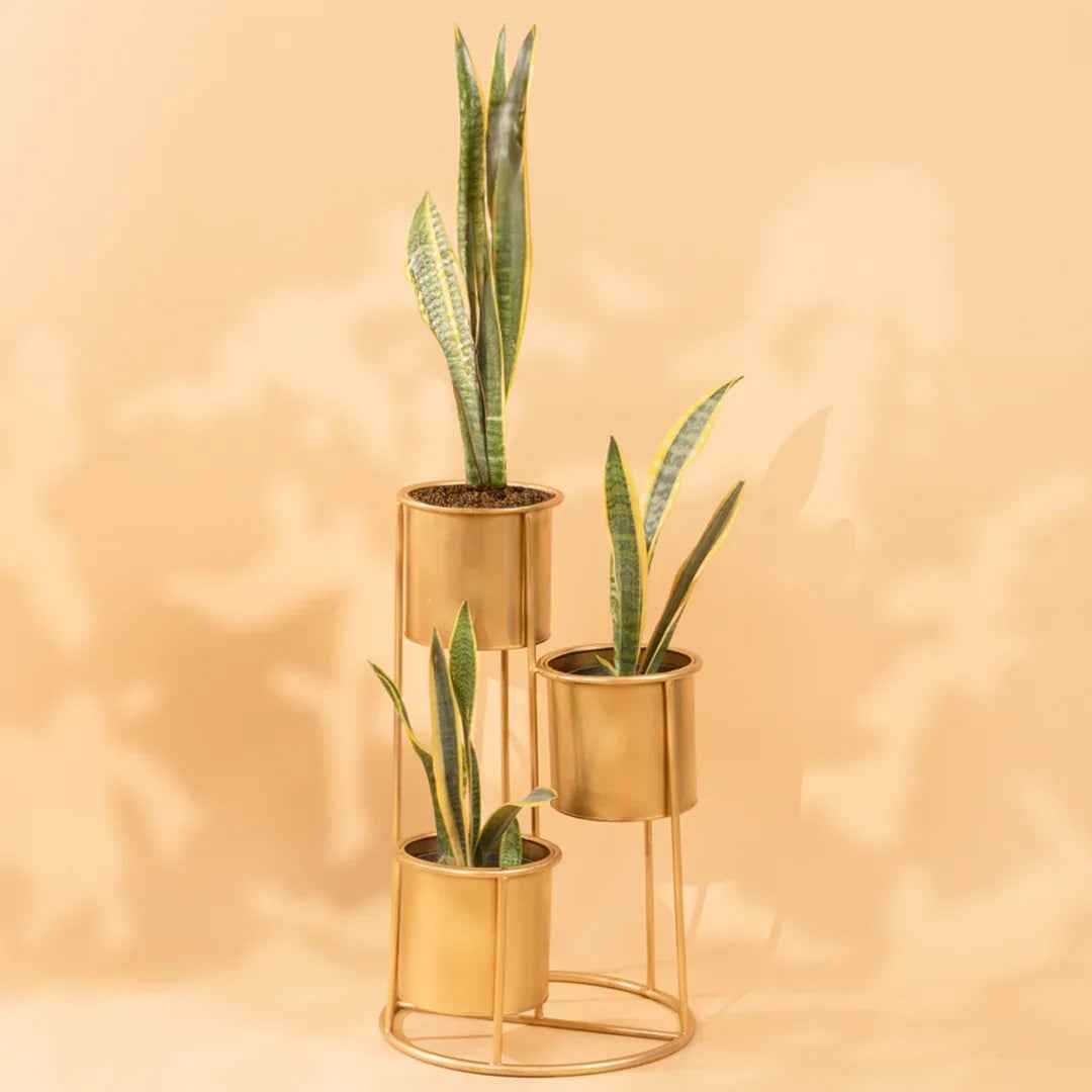 Floor Planter Stand With Triple Pots In Gold Finish