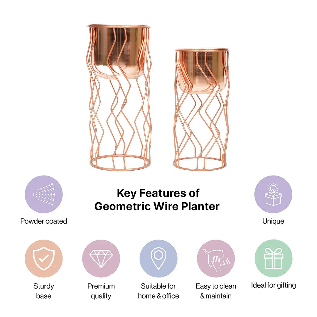Geometric Wire Copper Planter with Stand Set of 2