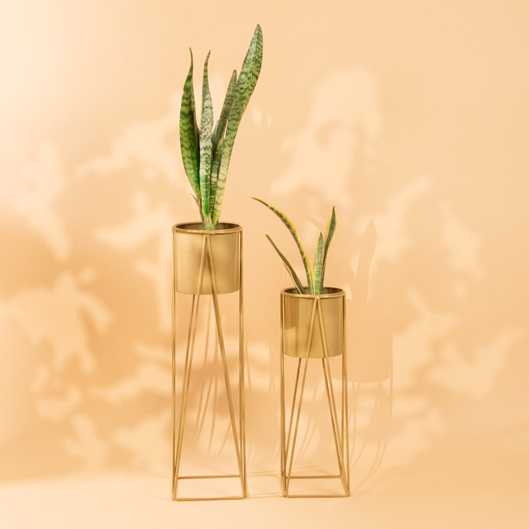 Triangle Stand - Golden Planter - Set of 2