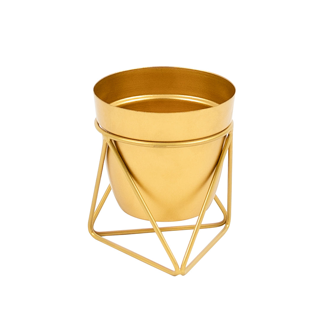 Metal Pots with Single Golden Metal Plant Stand in Sunlit Aura