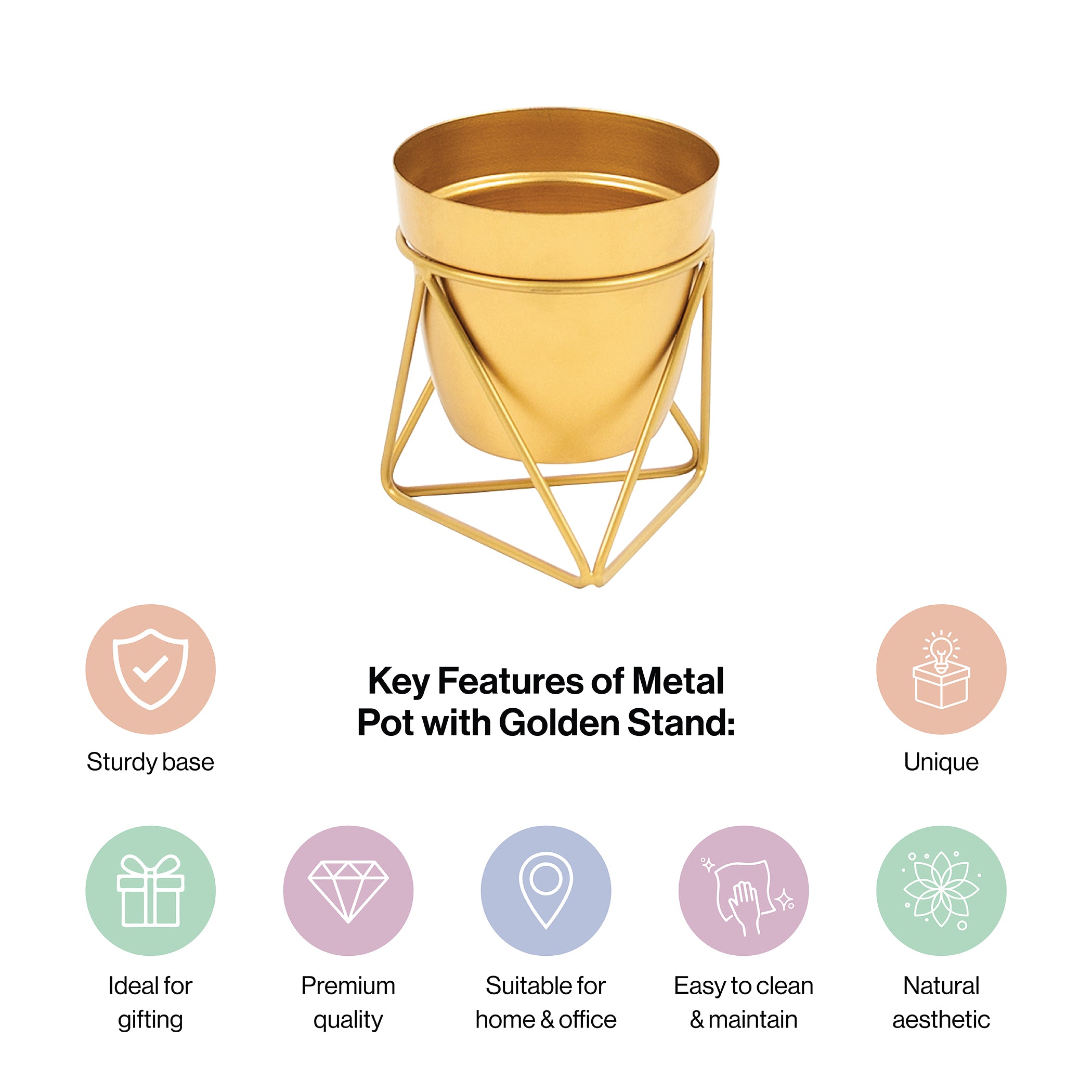 Metal Pots with Single Golden Metal Plant Stand in Sunlit Aura