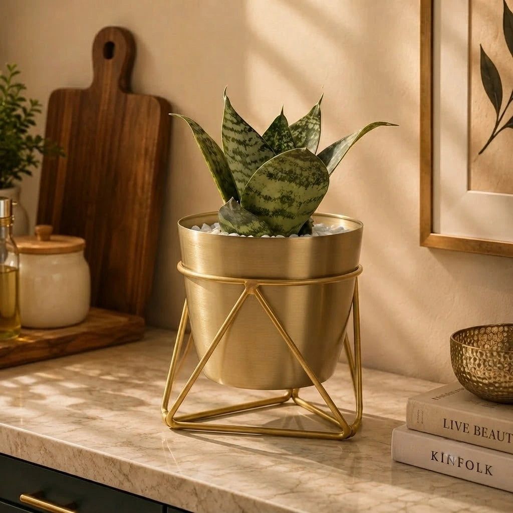 Metal Pots with Single Golden Metal Plant Stand in Sunlit Aura