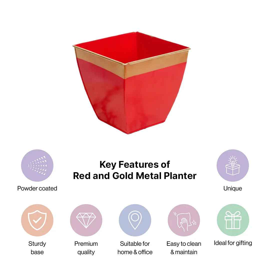 Modern Red Metal Planter with Golden Rim for Garden Decor