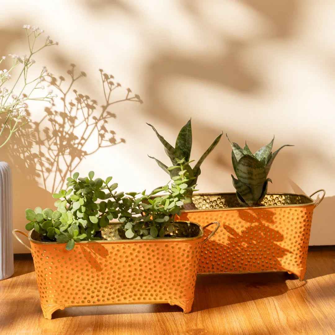 Orange Sunset
