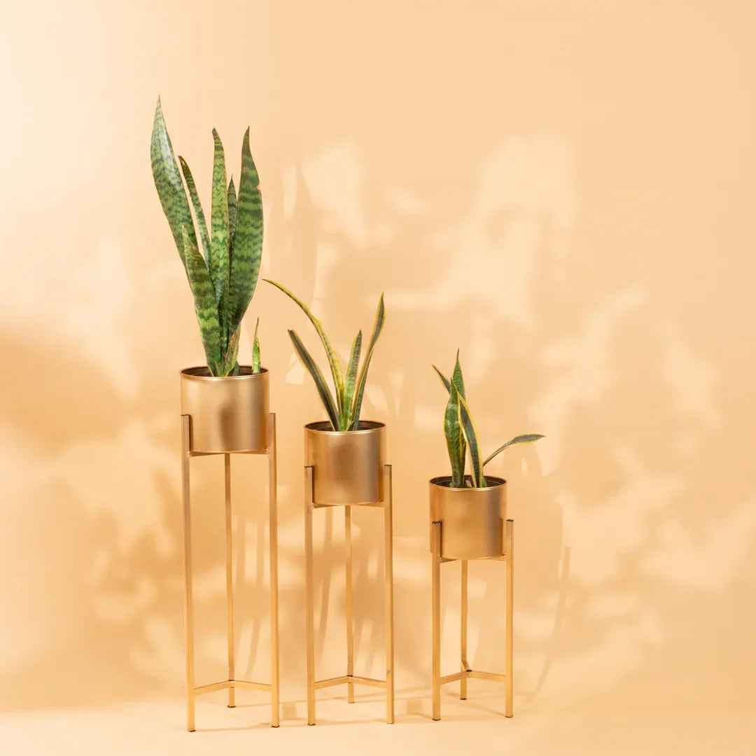 Modern Gold Metal Plant Stand Set of 3 in Sunlit Aura