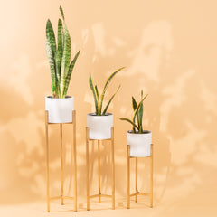 Metal Plant Stand With 3 Planters