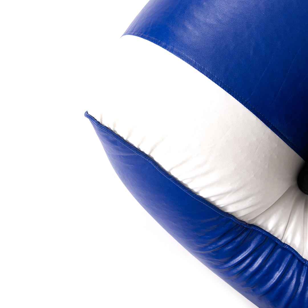 Blue-White