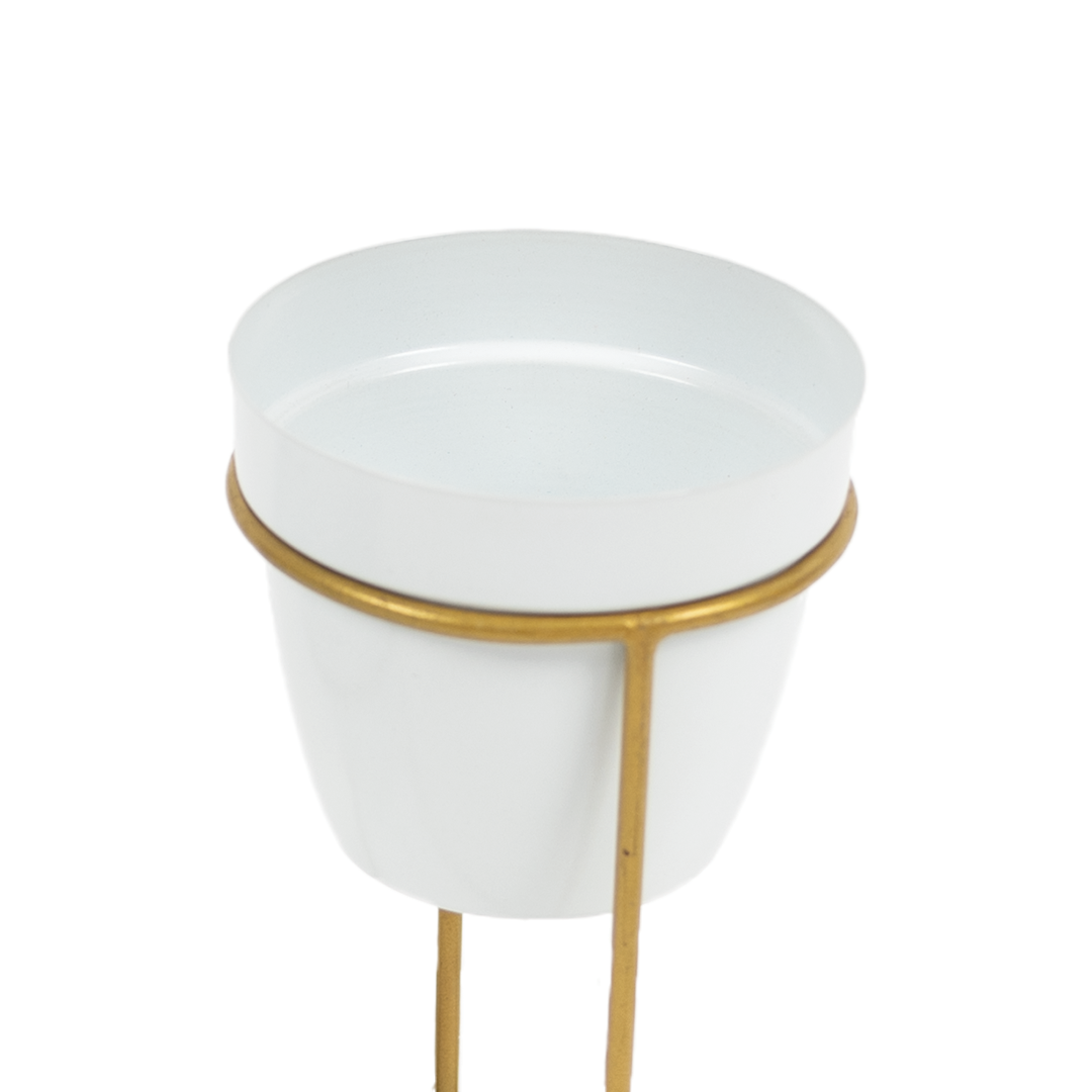 Metal Pots with Double Golden Stand