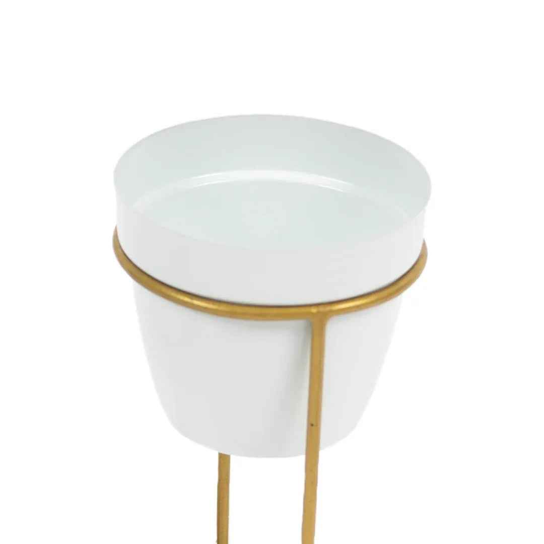 Metal Pots with Double Golden Stand