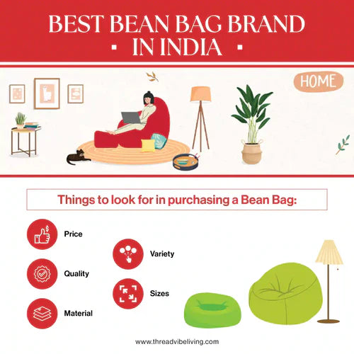Learning about the 5 Best Bean Bag Brand In India