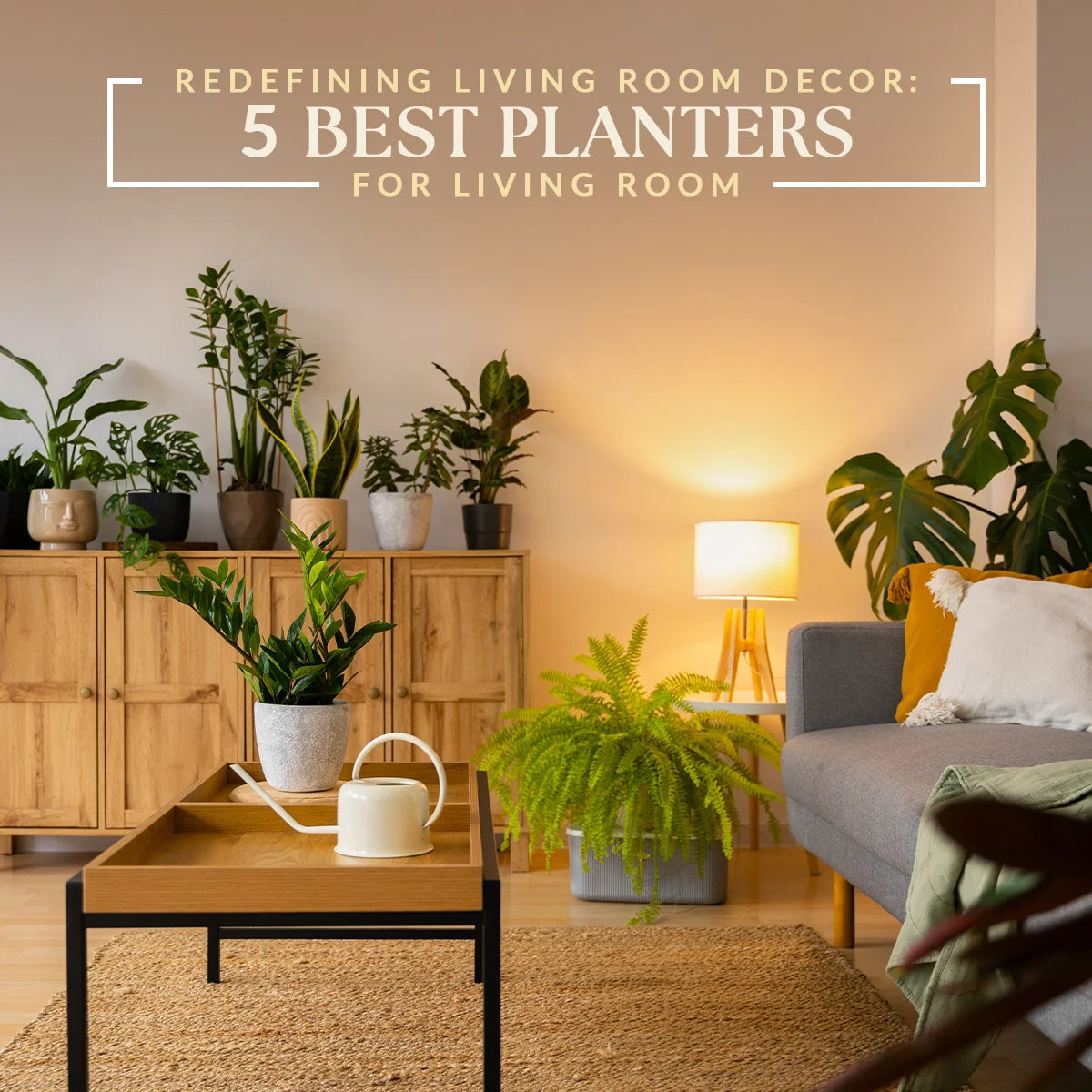 5 Best Planters for Living Room