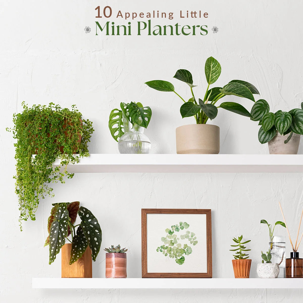 Charming Little Mini Planters for Home