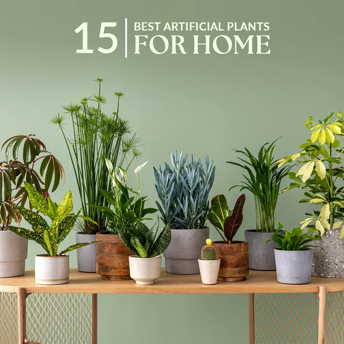 15 Best Artificial Plants for Home