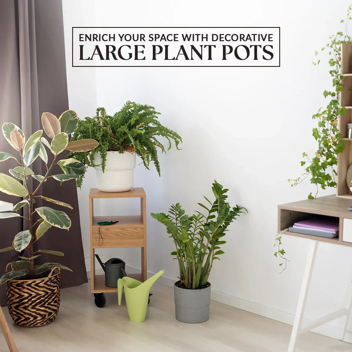 Decoding Art of Home Decor: Indoor Plants