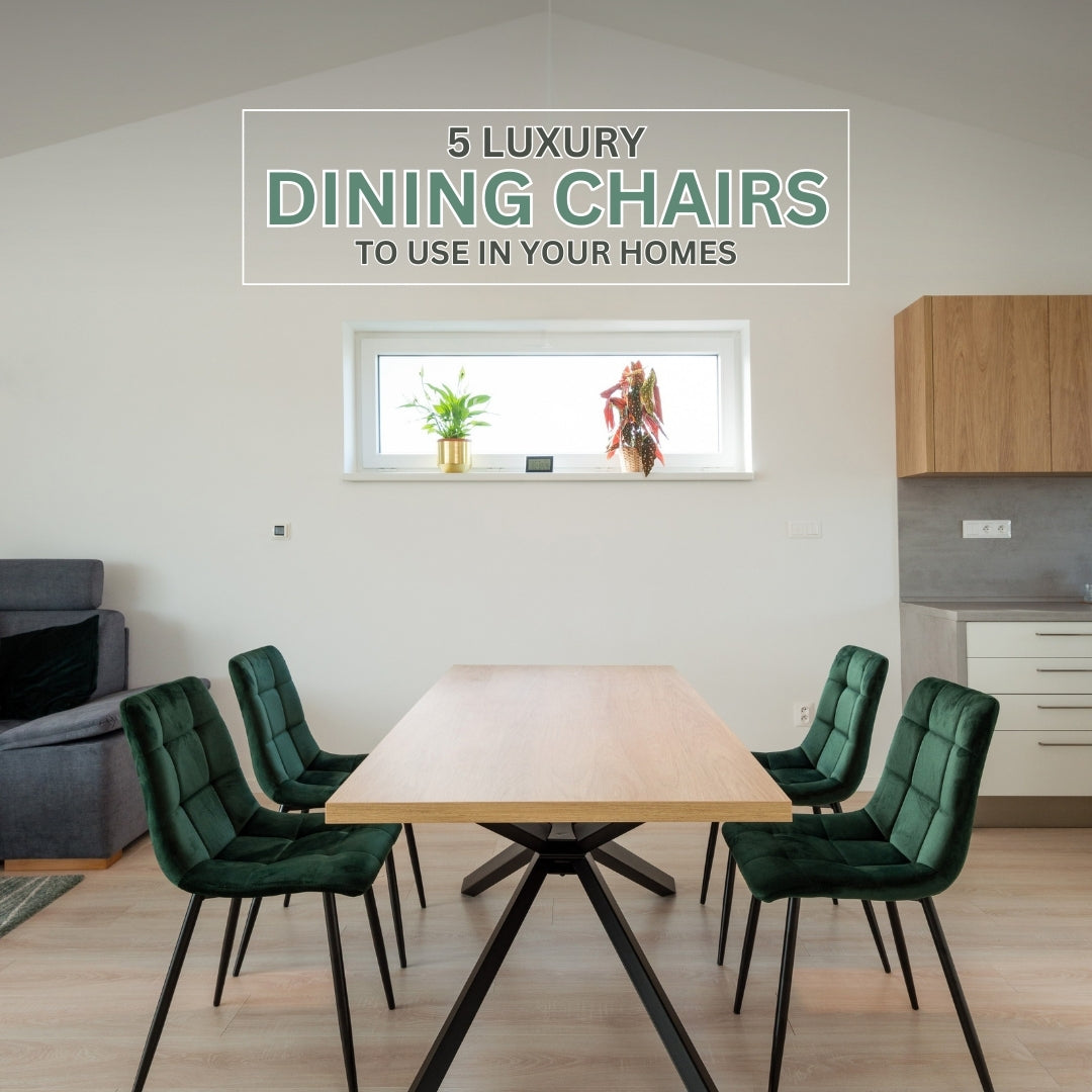 Premium and Luxury Dining Chairs to Grace your Homes