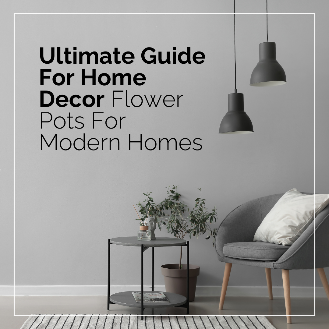 Ultimate Guide For Home Decor Flower Pots For Modern Homes