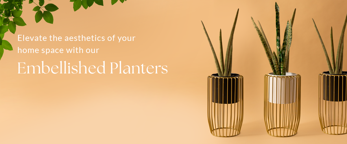 Planters