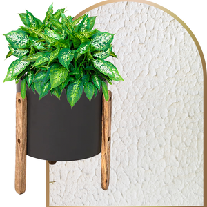 Bring home Stylish wholesale plant pots at exciting prices!