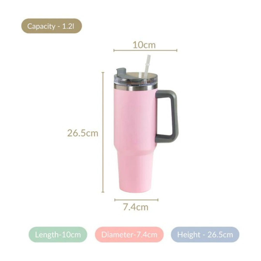 Stainless Steel Insulated Reusable Water Bottle with Lid in Pink