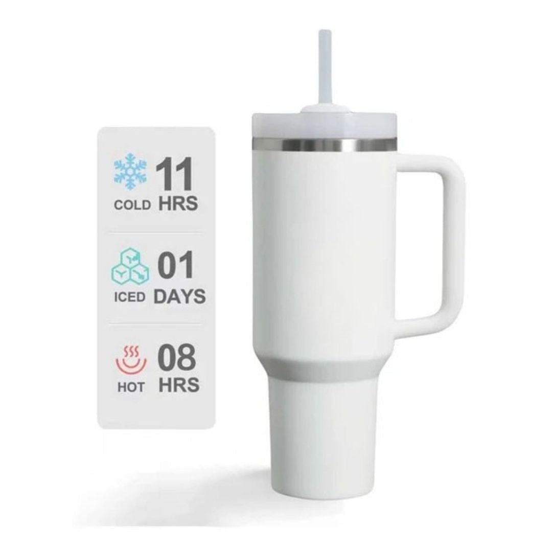 Stainless Steel Insulated Reusable Water Bottle with Lid in White