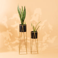 Triangle Stand - Black & Golden Planter - Set of 2