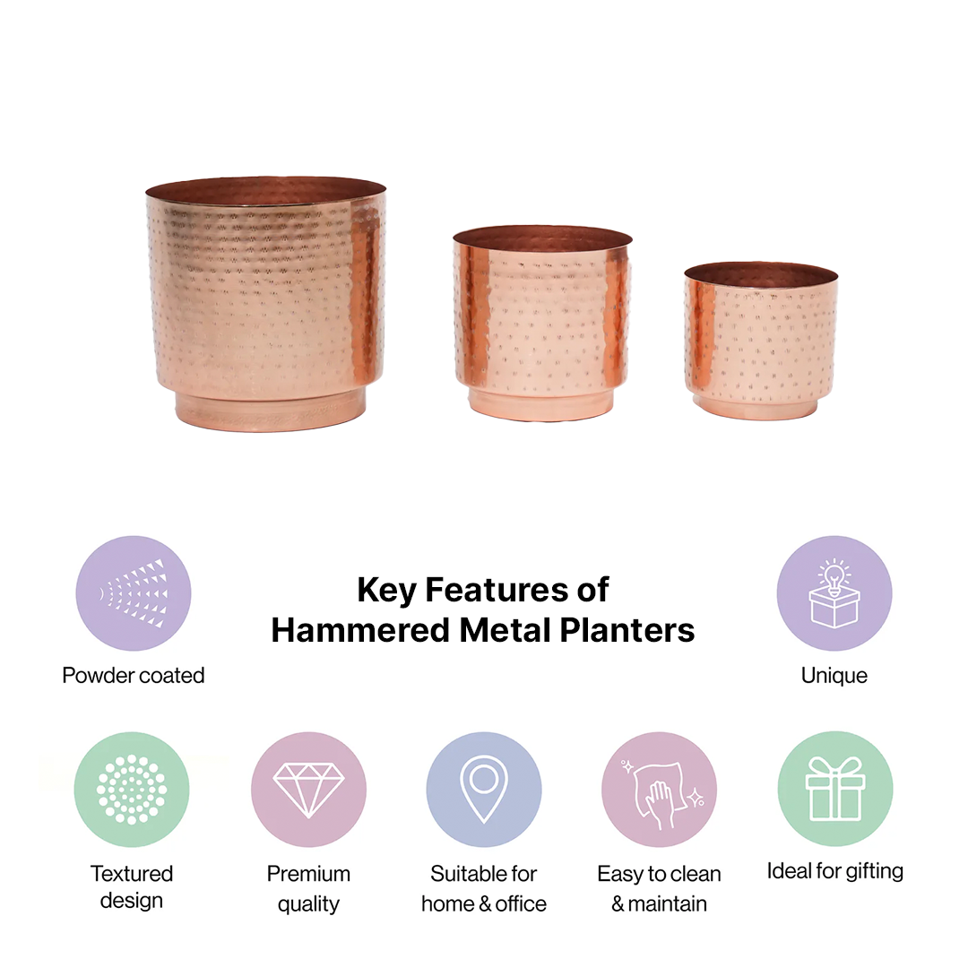 Copper Hammered Planters Set of 3