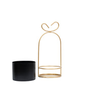 Hanging Black Metal Planter in Gold Wire Basket