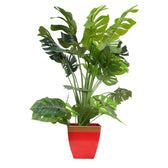 Modern Red and Gold Metal Planter