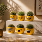 Decorative Smiley Face Emoji Flower Planter Pot (Yellow)