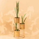 Floor Planter Stand With Triple Pots In Gold Finish