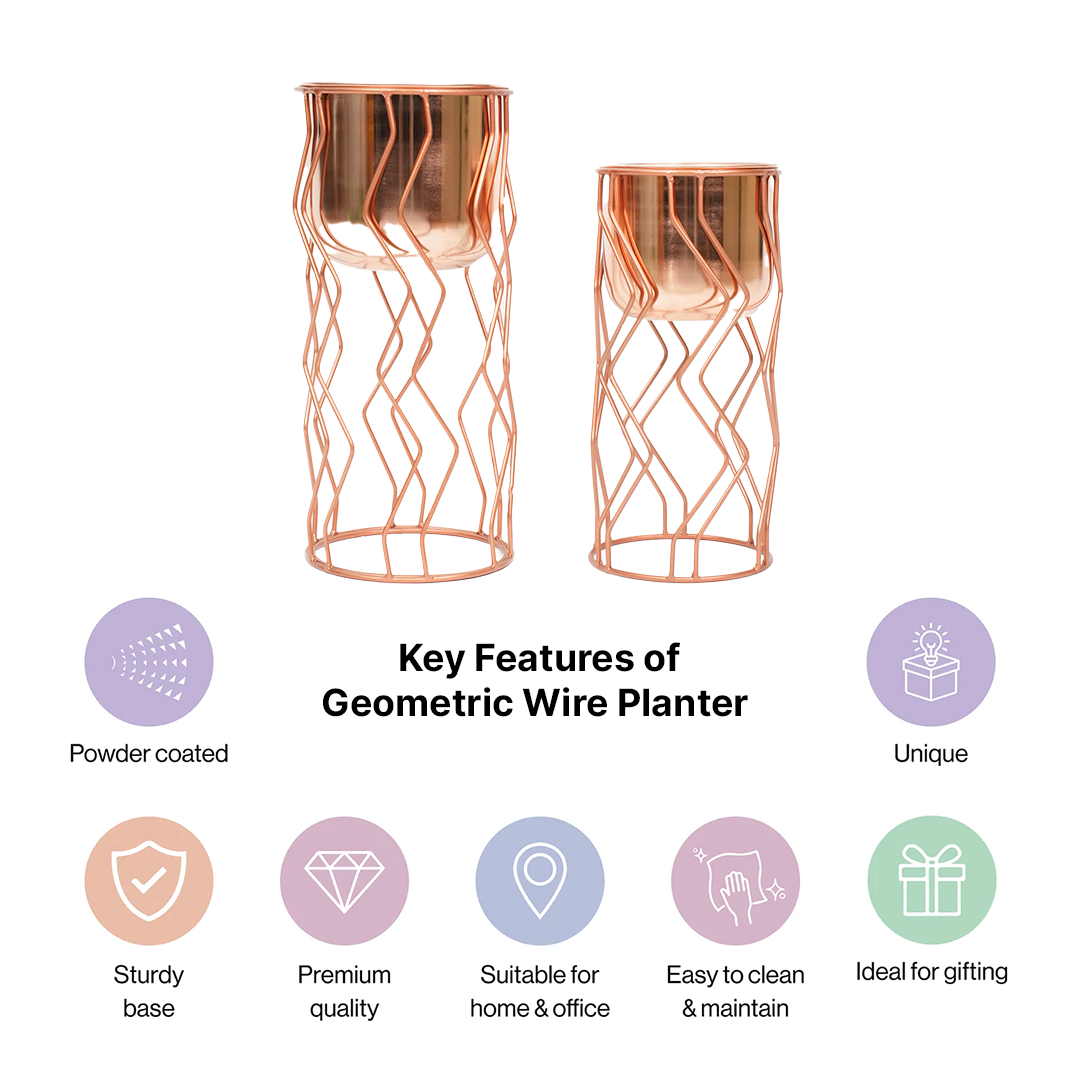 Geometric Wire Copper Planter with Stand Set of 2