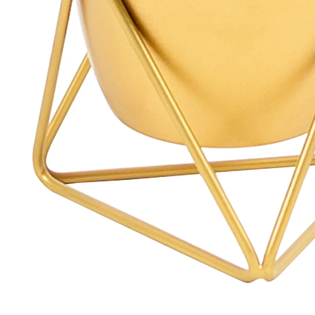 Metal Pots with Single Golden Metal Plant Stand in Sunlit Aura