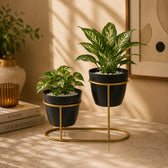 Metal Pots with Double Golden Stand