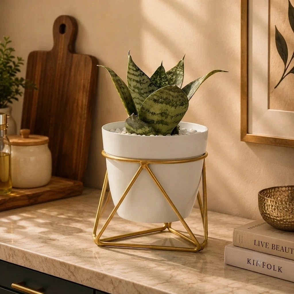 Metal Pots with Single Golden Metal Plant Stand in White Frost
