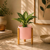 Modern Round Metal Pot with Wooden Stand in Pink