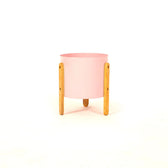 Pink Blush