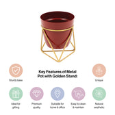 Single Golden Metal Pot Plant Stand In Mahogany