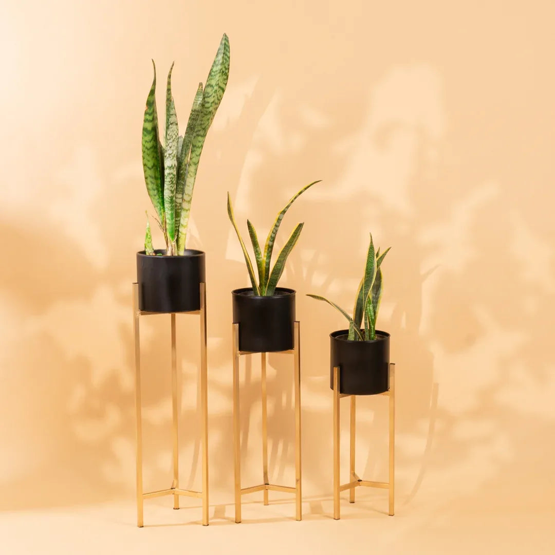 Metal planters set of 3 in black eclipse